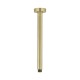 BRUSHED GOLD 300MM ROUND CEILING ARM SA1-300-BG